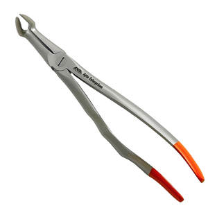 Fórceps de extracción Dental Premium, instrumentos quirúrgicos de raíz, Instrumentos dentales, Dental fórceps de extracción, acero inoxidable - Product Image 5