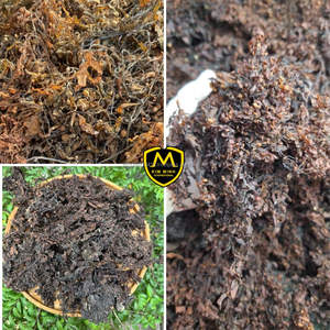 Algas Sargassum Secas para Fertilizante Orgánico y Alimento Animal – Proveedor de Vietnam - Product Image 4