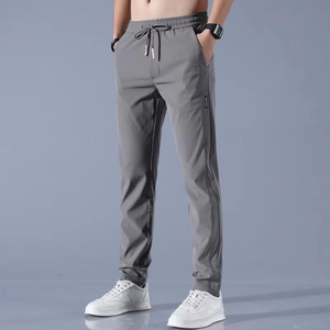 Ice Silk <b>Elastic</b> Casual Pants for Men's Summer Thin Work Trend Loose Straight Breathable Sweatpants Sports Pants Men's Trousers - Product Image 2