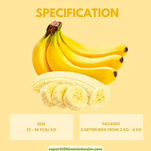 Bananes fraîches de haute qualité en provenance du Vietnam – Fournisseur fiable en gros pour les entreprises B2B - Product Image 3