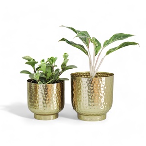Set of 3 Modern Metal Planters <b>Gold</b> Decorative Flower <b>Pots</b> for Home Office Garden Outdoor Living Room Bedroom Kitchen Decor - Product Image 2