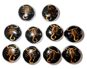 Escorpión Dorado, Espécimen Real, Cabujón de Plástico Redondo de 25x25 mm, Base Plana Negra para Manualidades y Joyería - Product Image 1
