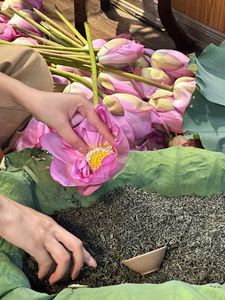 Té de Lotus 2026 de Alta Calidad, Ingredientes Seleccionados para Consumo Diario y Servicio de Hostelería, Sabor Suave, Suministro a Granel - Product Image 6