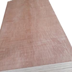 Contreplaqué Bintangor E2 Garantie 1 an pour une valeur exceptionnelle certifiée pour la construction moderne et l'intérieur Produit fiable pour les contreplaqués - Product Image 4