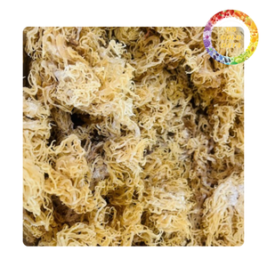 Musgo marino seco de Vietnam disponible para importadores de alimentos al por mayor |   Bueno para la salud - Product Image 5
