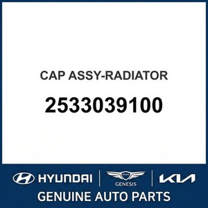 หม้อน้ำใหม่สำหรับรถยนต์เอลันตร้า รุ่น 2533039100 - Product Image 1