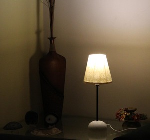 Cameron exporte des lampes artisanales de haute qualité en fibre de banane 100% organique, purement recyclées et fabriquées à Rajasthan. - Product Image 3