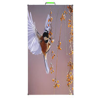 Écran LED d'extérieur P2.604 pour location de panneaux d'affichage numérique HDR10 couleur, étanche IP65, 5000 cd/m²