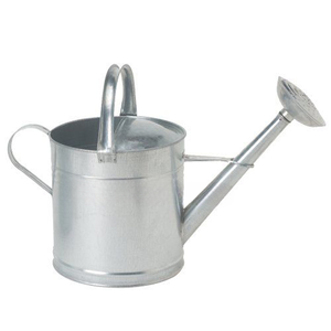 Arrosoirs en métal galvanisé de qualité supérieure avec doubles poignées, pour l'extérieur, les jardins, la maison et la décoration de balcon - Product Image 1