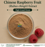 Extrait de Framboise Chinoise (Rubus chingii) de Qualité Alimentaire, Fourniture Directe d'Usine HGO, Rapport 4:1 5:1 10:1 20:1 100:1 200:1