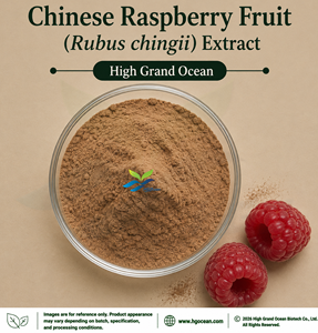 Suministro Directo de Fábrica HGO, Extracto de Frambuesa China (Rubus chingii) (Grado Alimenticio) en Proporciones 4:1 5:1 10:1 20:1 100:1 200:1 - Product Image 1