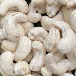 ผู้จัดจำหน่ายเม็ดมะม่วงหิมพานต์ที่เชื่อถือได้ WW180, WW240, WW320, LP เม็ดมะม่วงหิมพานต์ดิบ เมล็ดมะม่วงหิมพานต์จากซานติโก เวียดนาม - Product Image 1