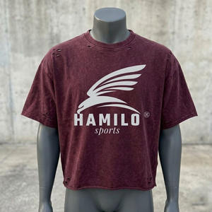 T-shirt de sport surdimensionné pour homme à faible MOQ, impression sérigraphique personnalisée du logo, 100 % coton respirant, séchage rapide, meilleur prix - Product Image 3