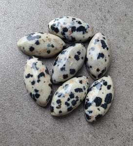 Jaspe Dálmata Natural, Forma Marquesa, Cabujón Calibrado, Gema Suelta para Joyería - Product Image 4