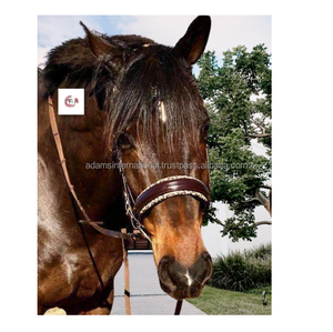 Bride de Safari en cuir de haute qualité, avec couvre-chef rembourré doux et bandeau à sourcils en cristal scintillant - Product Image 1