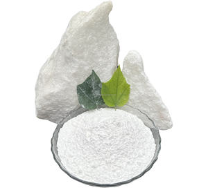 Poudre de carbonate de calcium blanc CaC03 99% pureté D97 10 microns enduit de qualité fournisseur du Vietnam - Product Image 2
