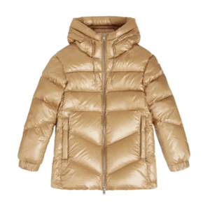 Veste matelassée en or pour femmes, à capuche, manches longues, chaude pour l'hiver, épaisse, rembourrée de cuir, doublure en nylon respirante, couleur unie - Product Image 1
