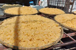 BEST SELLING VietDelta Sucre de roche transparent 100% pur en forme de cristal, édulcorant naturel pour boissons détox, desserts, durable - Product Image 4