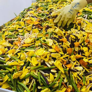 Snack Natural Crujiente de Frutas y Verduras Mixtas: Aguacate, Okra, Zanahoria, Plátano, Calabaza, Melón Amargo - Proveedor a Granel - Product Image 1