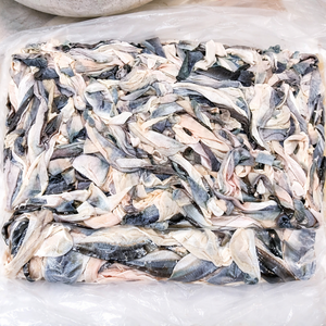 ราคาดีที่สุด หนังปลาแช่แข็งสด / หนังปลาปังกาซิอุสแช่แข็ง สำหรับคอลลาเจน / คุณอลินา - Product Image 5