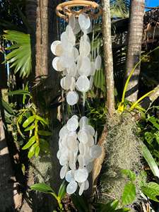 Discos de Concha de Capiz Pulidos de Vietnam, Material Natural de Conchas Marinas para Decoración de Bodas, Arreglos Florales, Decoración de Cortinas, Diseño de Ropa - Product Image 5