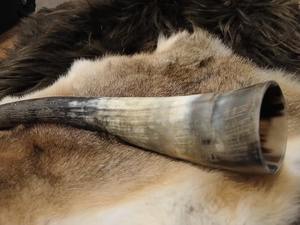 Soporte de Cuerno Pulido Ecológico Moderno para Bebidas, de Buey o Búfalo, para Cerveza, Cuernos Naturales, PERFECT ENTERPRISES - Product Image 6