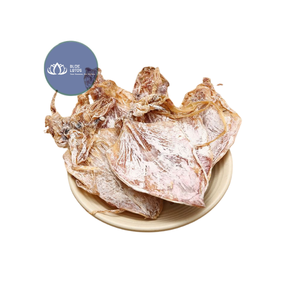 Produit phare : Calamar séché écologique de qualité supérieure, séché au soleil, vente en gros de fruits de mer - Product Image 1