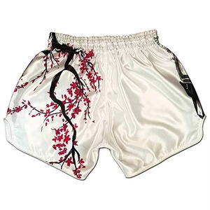 Shorts de Muay Thai, Kickboxing, Arts Martiaux, Combat, MMA, Boxe, pour hommes, shorts de combat premium pour le Kickboxing et le Muay Thai - Product Image 2
