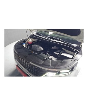 ปี 2021 สำหรับรถยนต์ Kia Carnival Noblesse 9 ที่นั่ง เกียร์อัตโนมัติ เบาะหนัง พวงมาลัยซ้าย ระยะทาง 101,773 กม. เชื้อเพลิงดีเซล - Product Image 6