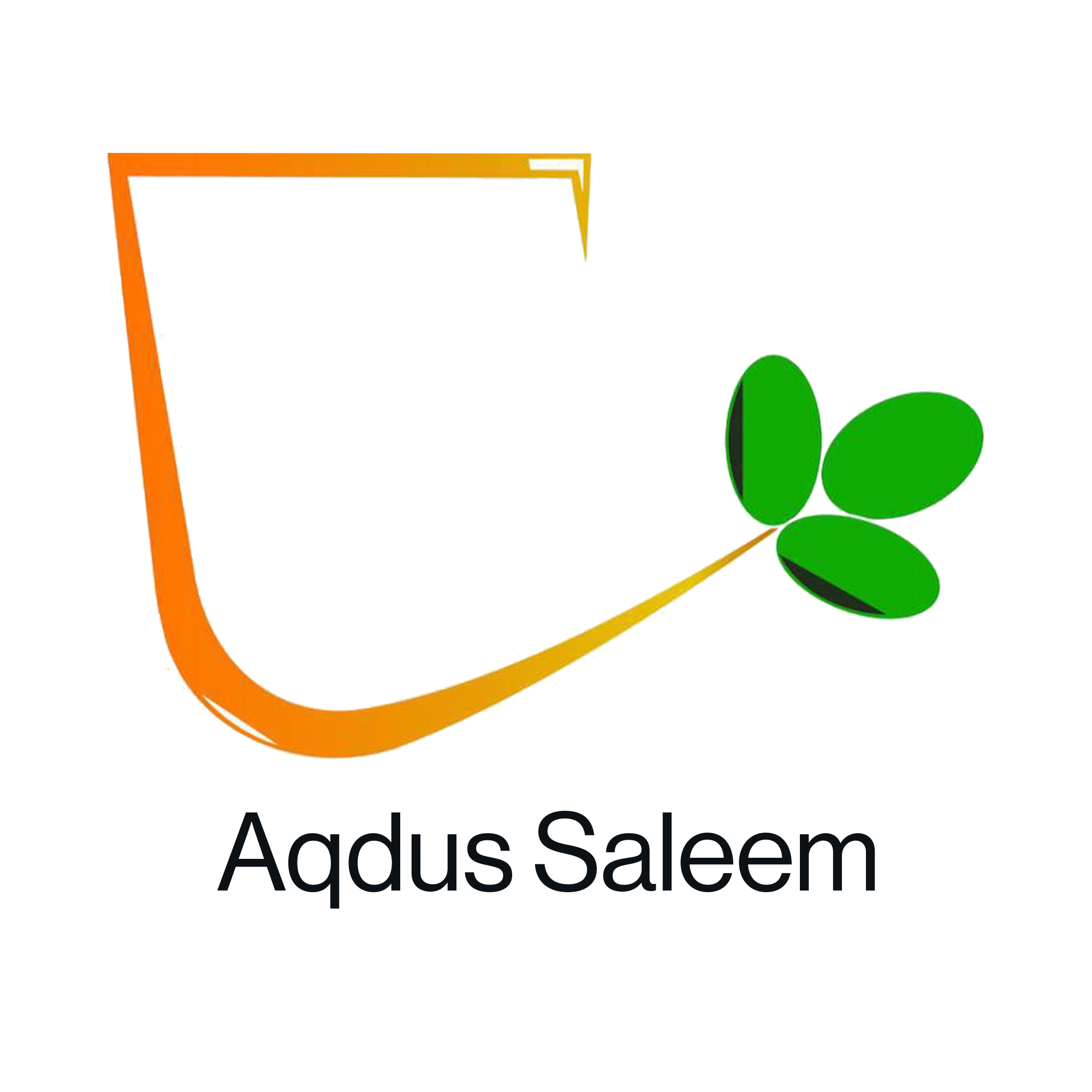 AQDUS SALEEM logo
