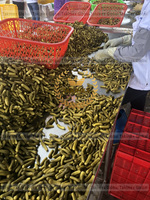 Hoge Kwaliteit Ingeblikte Gepekelde Komkommers Instant Food Ingelegde Baby Komkommer Maat 3-6 Cm In Glazen Pot Van Vietnam