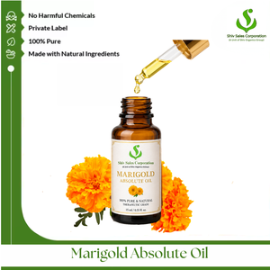 Huile absolue de marguerite pure pour les produits de soin de beauté, les mélanges aromatiques et les solutions d'approvisionnement pour la fabrication industrielle - Product Image 1