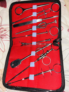 Cánula y Agujas de Alta Calidad para Ordenación de Tetinas, Juego de 10 Piezas de Acero para Ganado, Animales de Granja, Instrumentos Veterinarios - Product Image 3