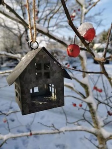Casa para Pájaros Multiusos de Metal con Recubrimiento Azul Cielo para Decoración de Jardín y Atracción de Vida Silvestre - Product Image 5
