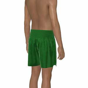 Pantalones Cortos Deportivos para Hombre, Muay Thai, Satén, Cintura Elástica, Entrenamiento, Gimnasio, Kickboxing, Ligeros, Estampado Colorido, Top de Muay Thai - Product Image 5