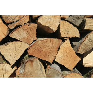 Estacas de Madera Blanda de Alta Calidad, Duraderas y Sólidas, Perfectas para Cercas Agrícolas, Estacas de Jardín y Uso Industrial - Product Image 6