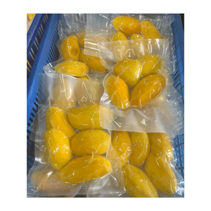 มะม่วง IQF ชิ้นสีธรรมชาติ หอมหวาน ผลไม้เมืองร้อนจากตงไน - Product Image 1