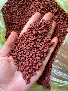 Graines d'annatto séchées sélectionnées pour la base de sauces, l'assaisonnement des snacks et la fabrication d'aliments surgelés - Product Image 5