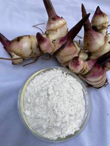 <b>Good</b> Organic Vietnamese Dried Arrowroot Flour. Gluten-Free, Natural, High-Quality, Perfect for <b>Baking</b>, Asian Cuisine - Product Image 3