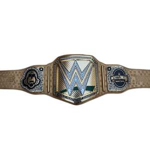 นี่คือเข็มขัดแชมป์หญิง WWF ดีไซน์นี้ใช้ใน WWF ในช่วงประมาณปี 1993 ถึง 1995 - Product Image 2
