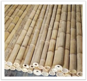 Ramas de Bambú Natural de Alta Calidad, Personalizadas de Vietnam, para Paisajismo, Jardinería, Estructuras Exteriores y Artesanías - Product Image 1