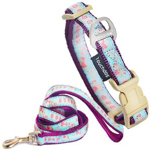 Collare per Animali Domestici Avery Resistente con Ricamo e Design a Motivi, Include Guinzaglio - Product Image 1