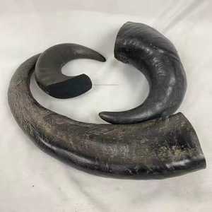 Friandises à mâcher pour chiens en corne de buffle naturelle, riches en protéines, très vendues, excellent rapport qualité-prix, friandises pour animaux de compagnie, taille personnalisable, faites à la main - Product Image 4