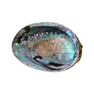 Quality Vietnam abalone shells for fine jewelry inlay luxury <b>watch</b> dial manufacturing colorful iridescent mother of <b>pearl</b> - Product Image 5