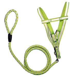 Guinzaglio e Pettorina per Cani 2-in-1 con Tensione Regolabile e Cuciture Riflettenti - Product Image 4