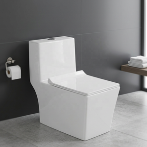 WC monobloc en céramique de style européen moderne, blanc brillant, à double chasse d'eau, pour salles de bain d'hôtel - Product Image 6