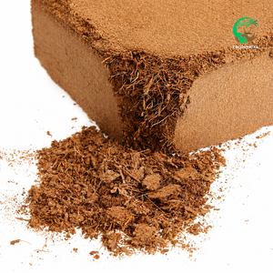 Cocopeat 100% Naturel Lavé à Faible EC, Bloc de 5kg pour Serre Hydroponique, pH 5.7, EC 0.3, 80L Exp, Phytosanitaire, Prix FOB, Tuticorin - Product Image 4