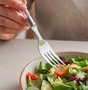Elegant Flatware Set With <b>Plastic</b> Handles High <b>Mirror</b> Polish Dishwasher Safe For Wedding Occasion Silver Color Metal Cutlery - Product Image 5