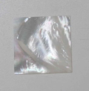 Vente en gros de plaques de nacre naturelle traitées thermiquement, double face plate, carrées, de 6 à 40 mm, couleur blanche - Product Image 2