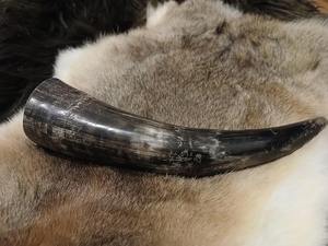 Soporte de Cuerno Pulido Ecológico Moderno para Bebidas, de Buey o Búfalo, para Cerveza, Cuernos Naturales, PERFECT ENTERPRISES - Product Image 4